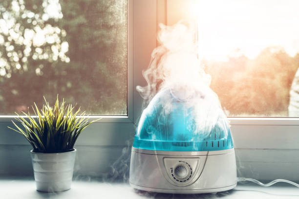 Maintaining a Mold-Free Humidifier