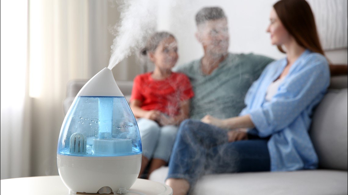 Moldy Humidifier Make You Sick