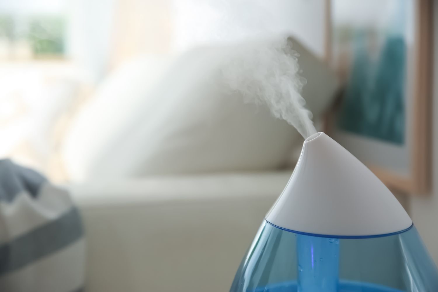 Prevent Mold in a Humidifier