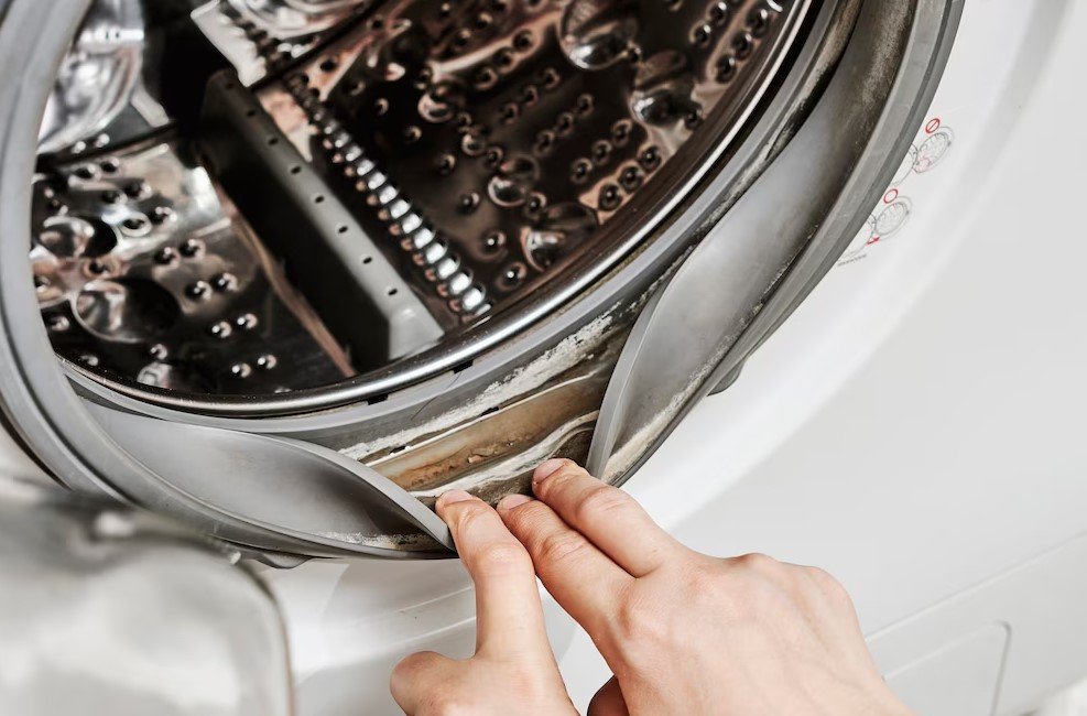 Remove the damaged belt