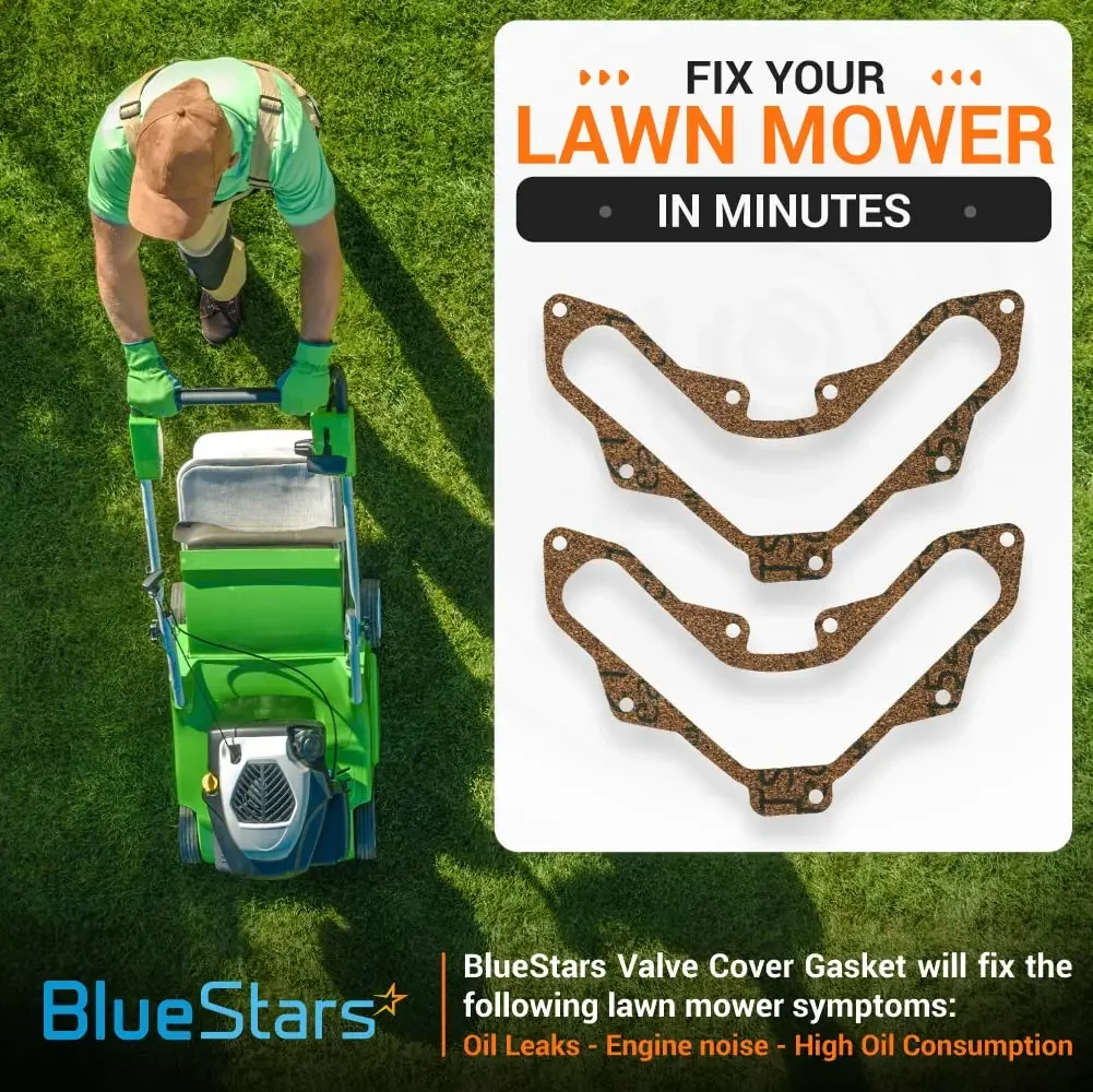 Fix Crankcase Engine Issues by Replacing Gasket