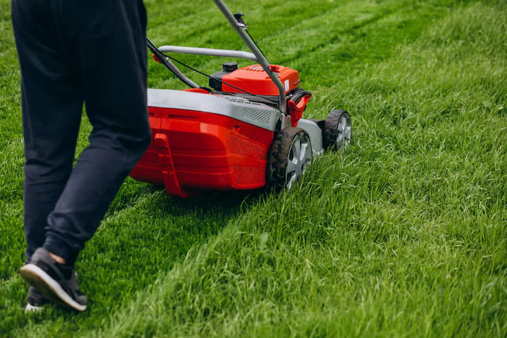 Gas-Powered Lawn Mowers